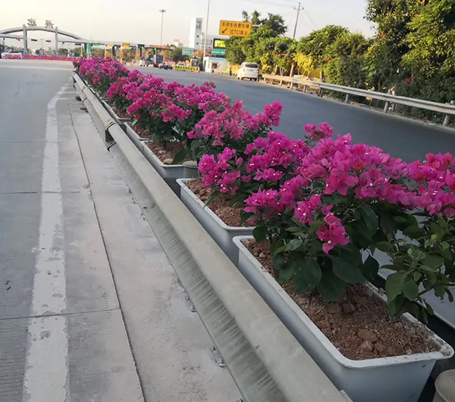 市政花箱在城市道路中地位显著提升