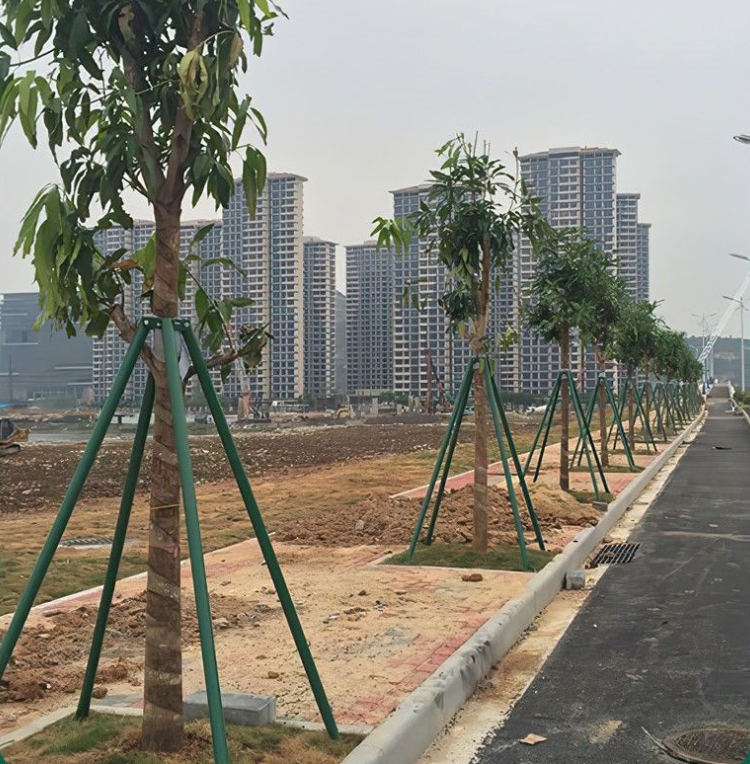 碳纤维树木支撑架7