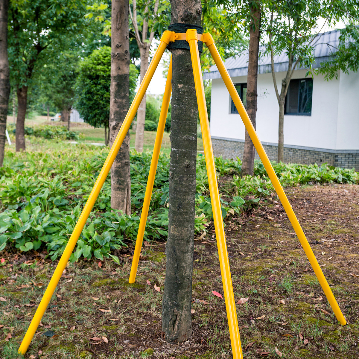 简单又实用的树木支撑架 园林街道绿化省心搭配